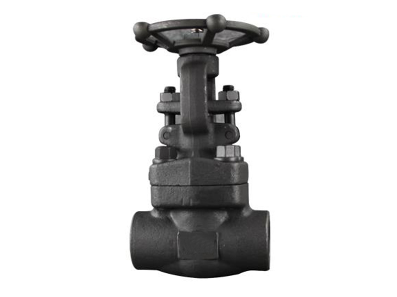 Forged Gate Valve