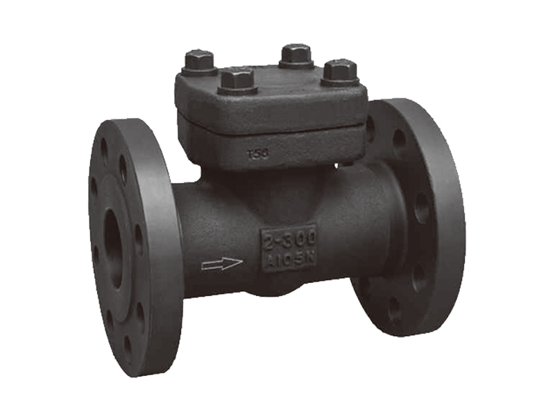 Forged Check Valve