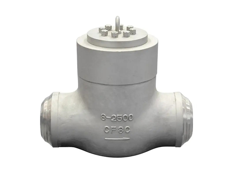 PSB Check Valve